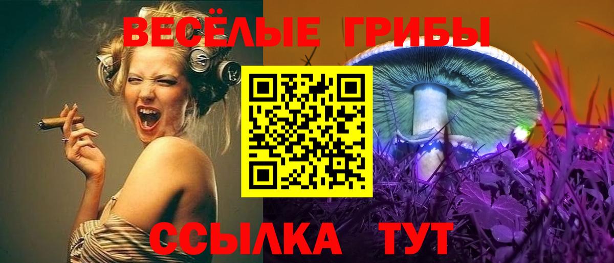 Галлюциногенные грибы Cubensis Саров