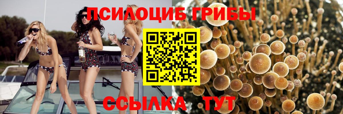Галлюциногенные грибы ЛСД  Псилоцибиновые грибы мухоморы  Саров  Вход с VPN 